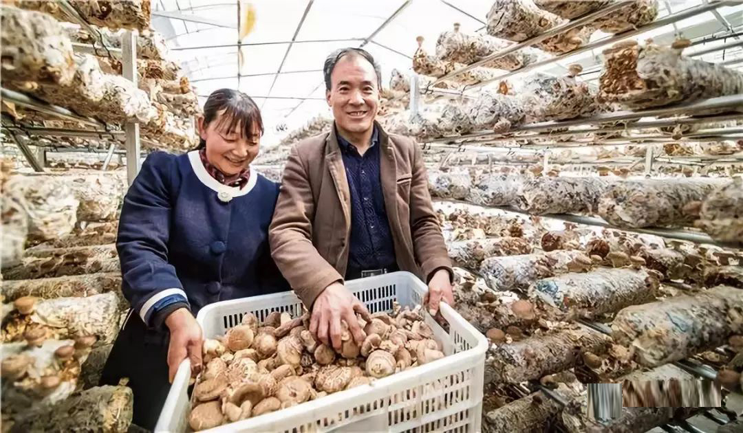 1709523666935782.png 1709523666935782.png